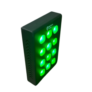 My Green Lamp